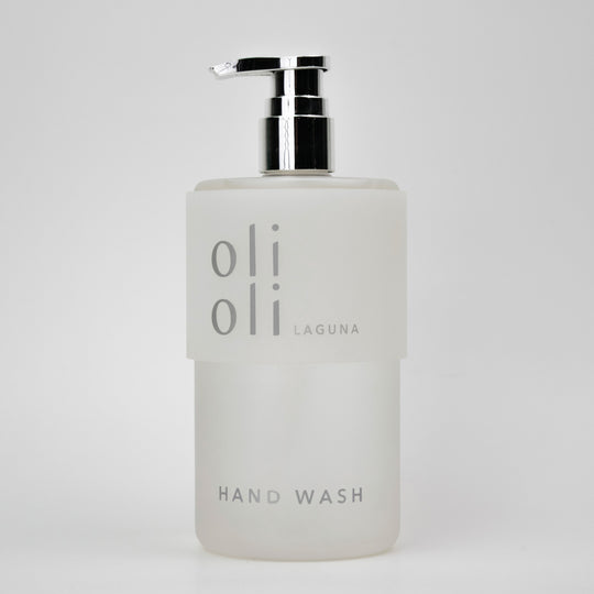 BOTANICAL HAND WASH 15.2oz